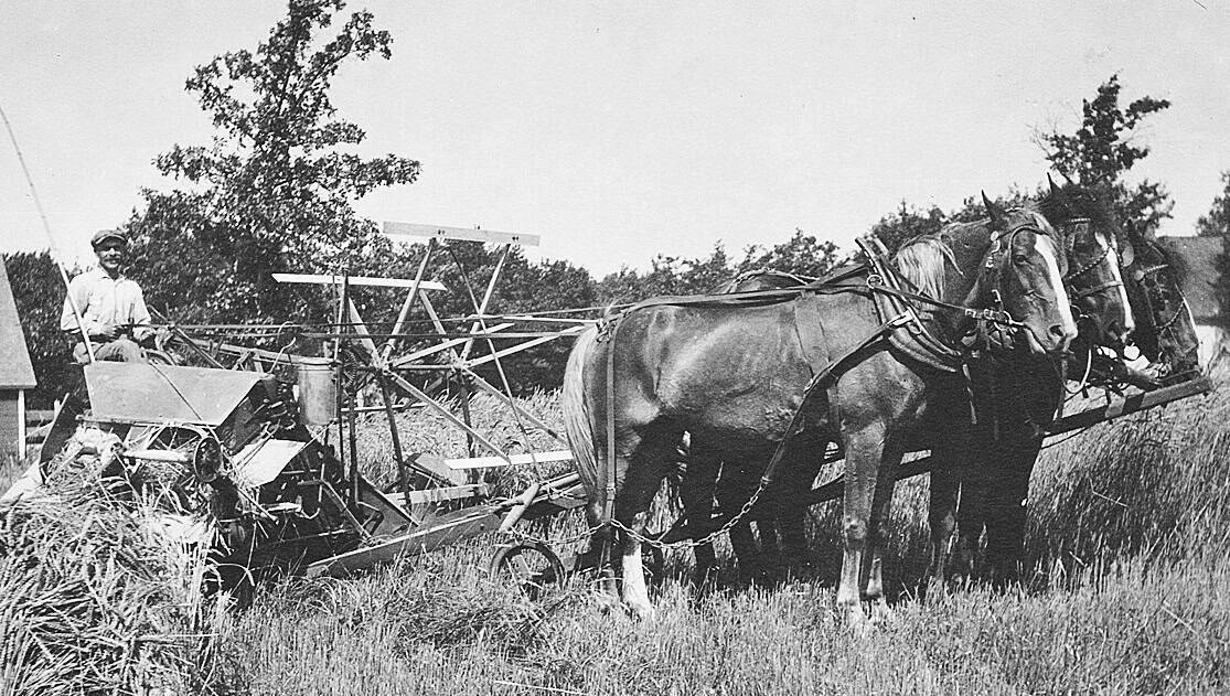Wabasha County Historical Society And Museum First Farmers In Wabasha County - Museum Exhibit